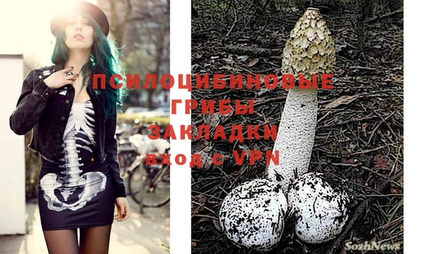 марки lsd Алексеевка